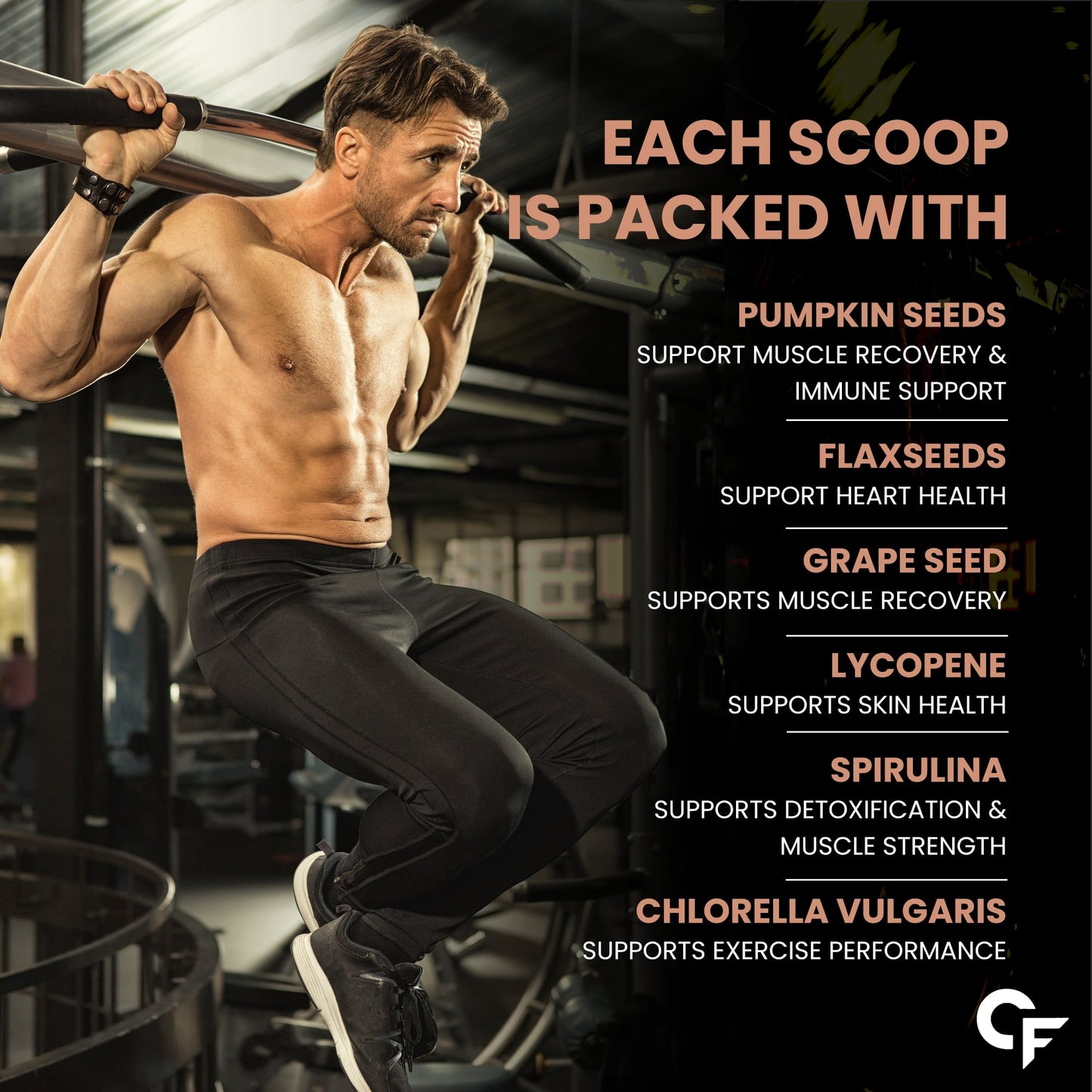 Carbamide Forte Plant Protein Powder - Plant Based Protein Powder with Multivitamin, Minerals, Superfoods, Pea Protein, Digestive Enzymes | 5 Flavors Protein Powder - Pack Of 5