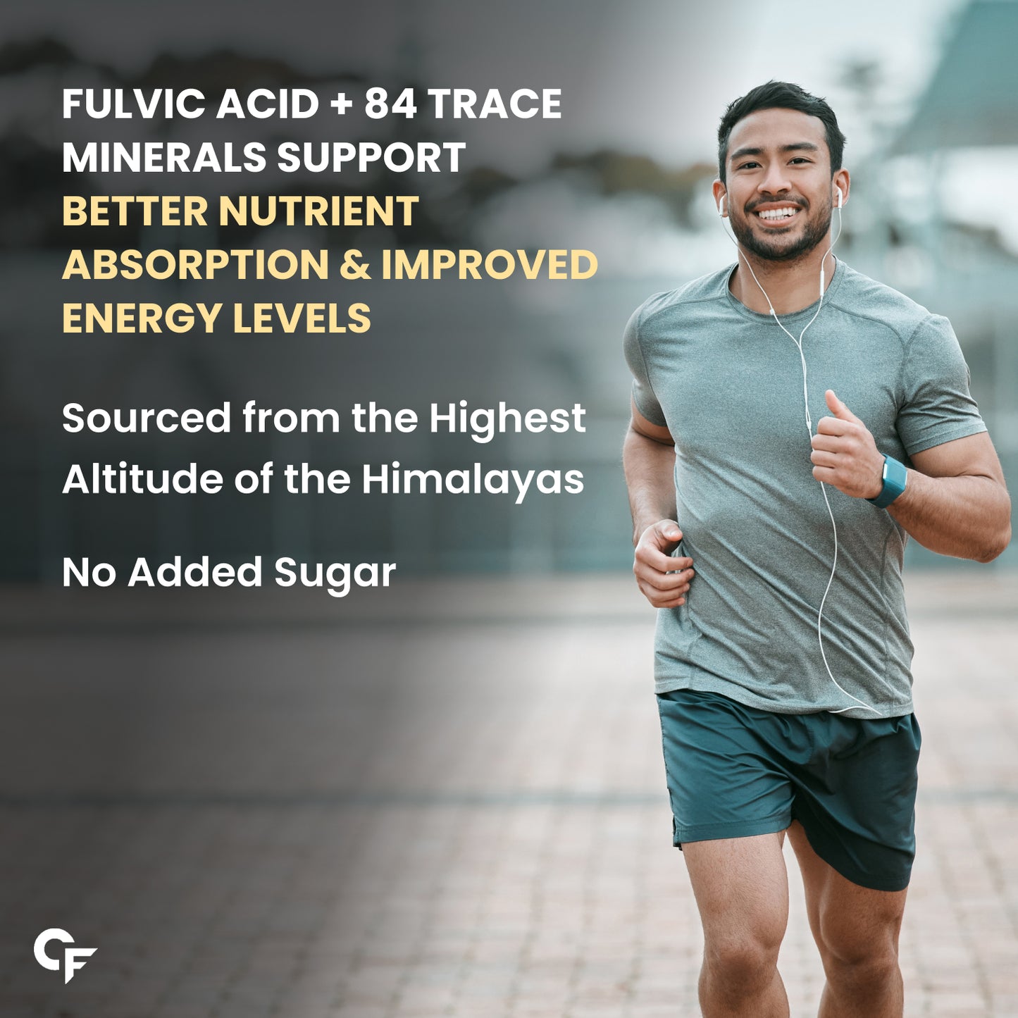 Carbamide Forte Shilajit / Shilajeet Gold Effervescent Tablets | Ayurvedic Himalayan Shilajit Original Effervescent Tablets For Men | Helps In Boosting Strength, Stamina & Power | Pure Shilajit Gold For Men | 15 Effervescent Tablets