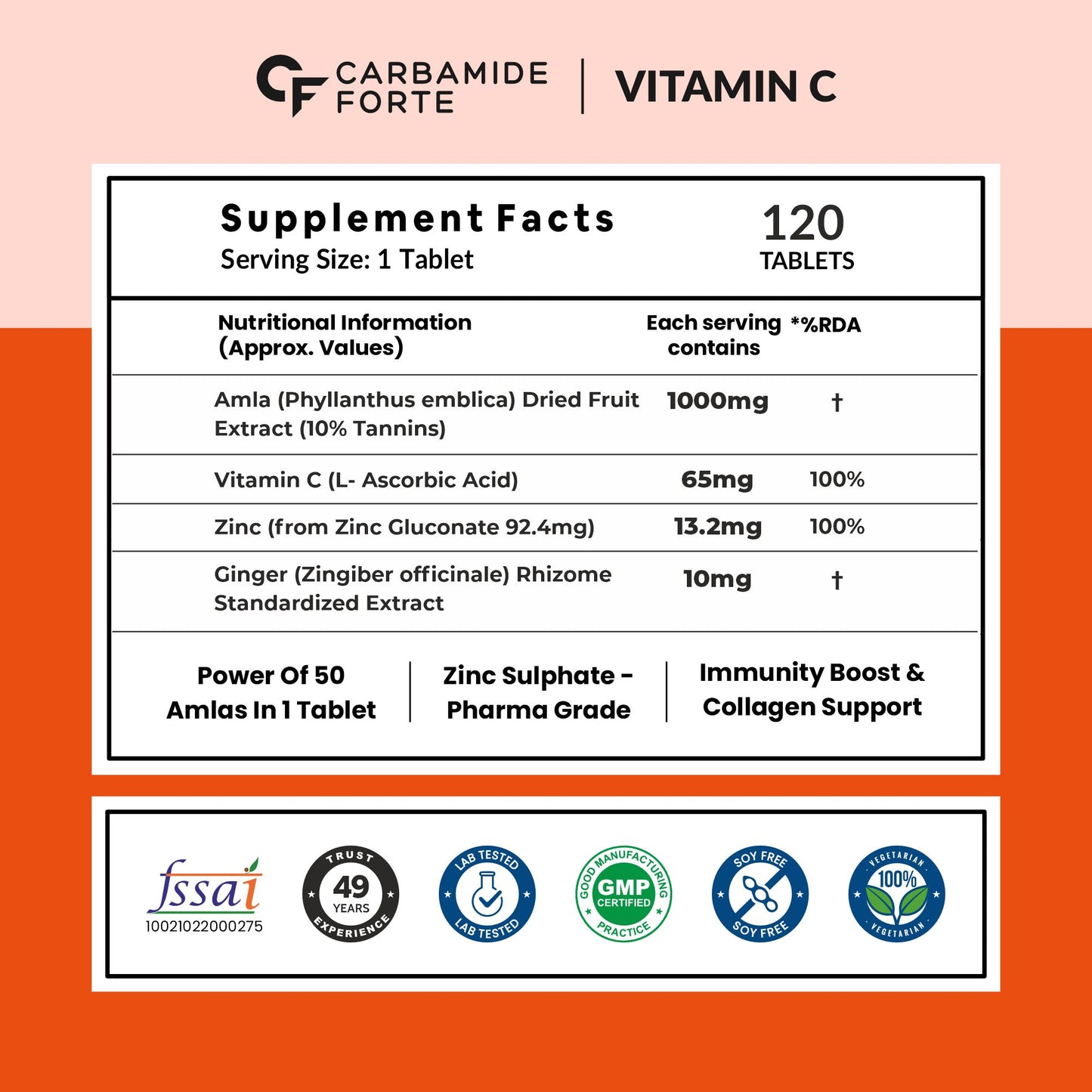 Natural Vitamin C from Amla with Zinc 1000 mg | 120 Tablets