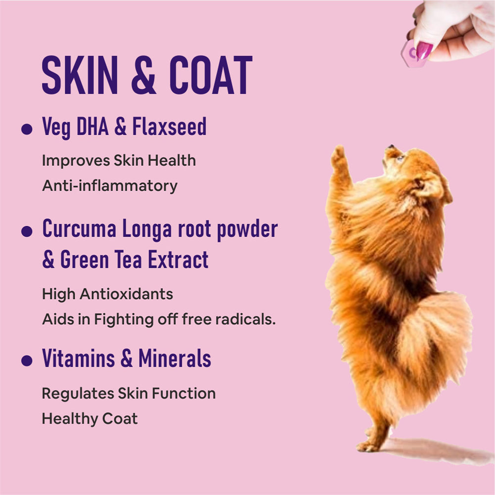 CF Pets Skin and Coat Tablets for Dogs & Cats with Veg Omega 3 Algal DHA, Biotin and Vitamin C for Skin Health & Shiny Coat | Chicken Flavour - 120 Tablets