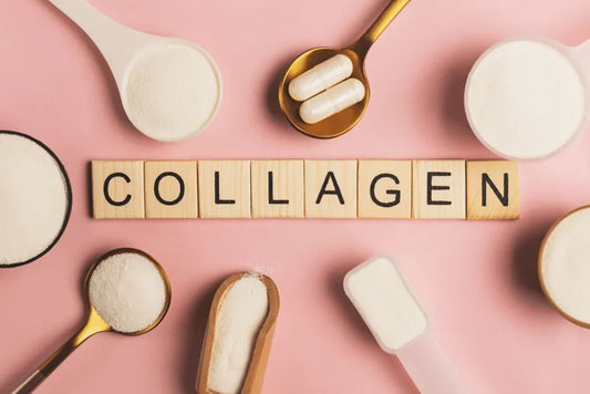 What Is Multi Collagen (Type I, II, III, V, X) and How Is It Different From Single-Type Collagen?