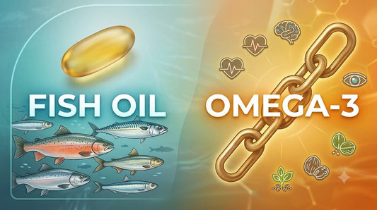 What Is the Difference Between Fish Oil and Omega-3? (Common Confusion Explained) - Carbamide Forte