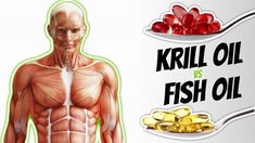 Fish Oil vs Krill Oil: Which Omega-3 Source Is More Effective? - Carbamide Forte