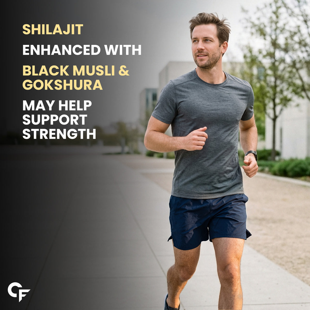 Shilajit Gummies for Men | 60 Gummies
