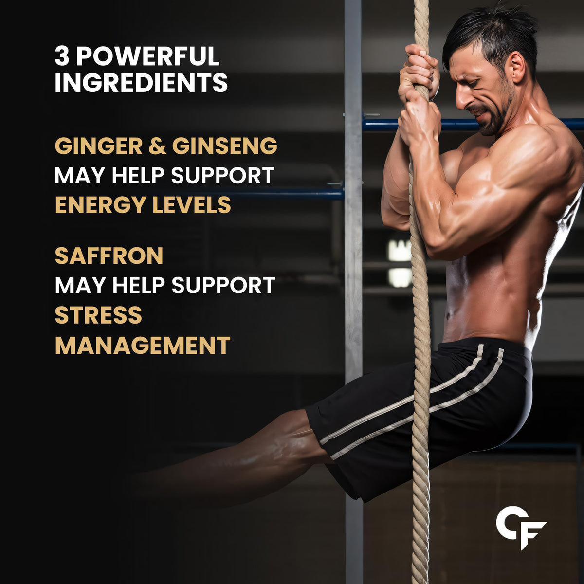 Shilajit Gummies for Men | 60 Gummies