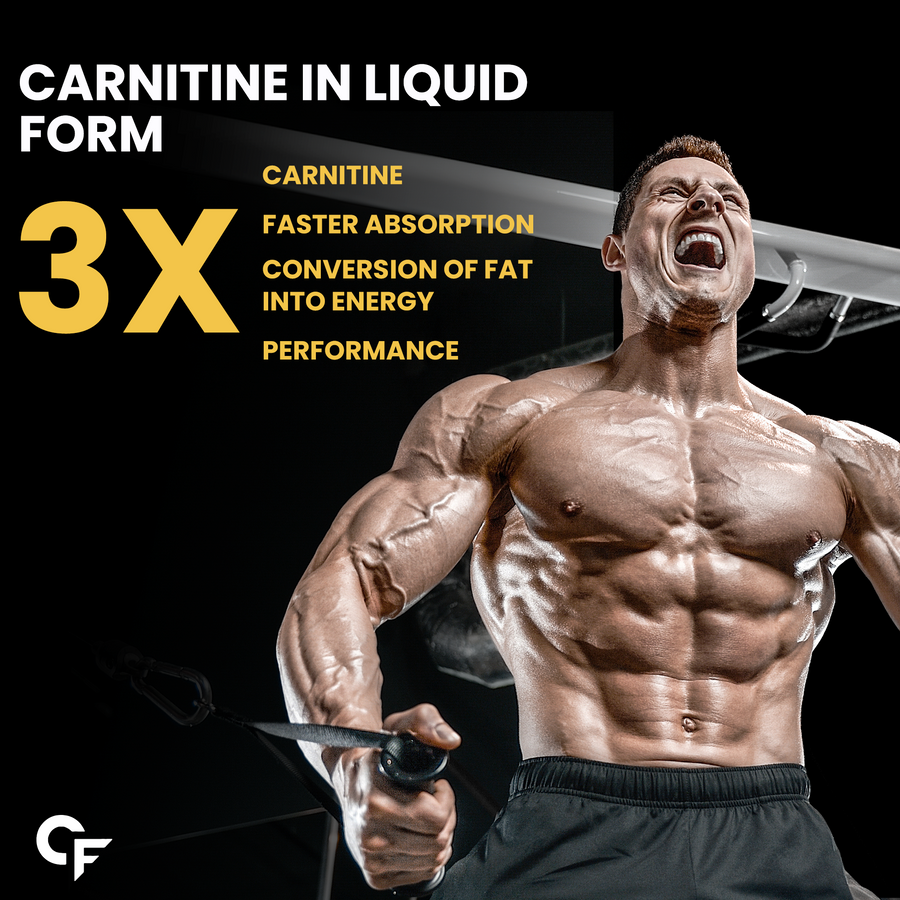 Carbamide Forte L Carnitine Liquid 3300mg | L-Carnitine Supplement For Men & Women | Liquid L Carnitine Pre Workout, Intra Workout & Post Workout Supplement With 3300 mg Per Serving With Added Vitamins | L’Carnitine Mango Flavour With 30 Servings - 450ml