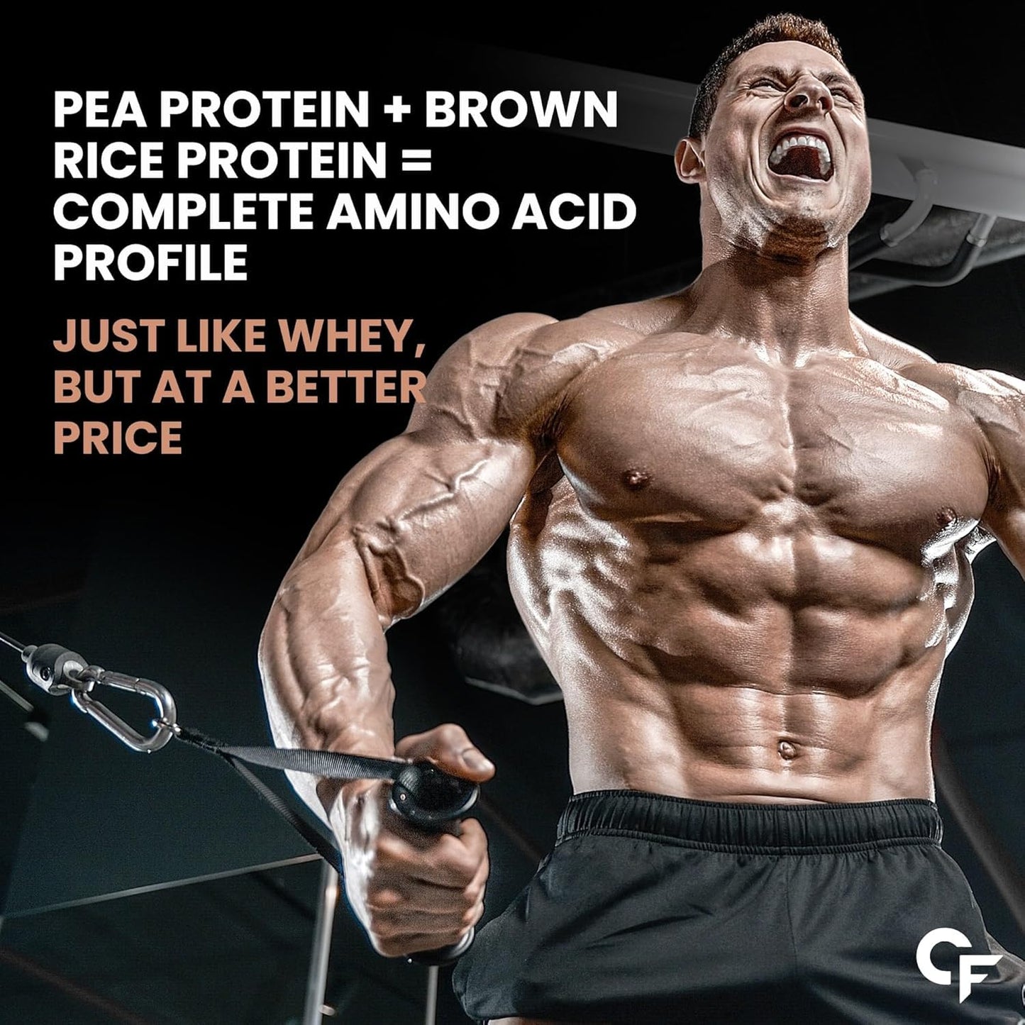 Carbamide Forte Plant Protein Powder - Plant Based Protein Powder with Multivitamin, Minerals, Superfoods, Pea Protein Powder, Digestive Enzymes | 5 Flavors Plant Protein Powder For Men - Pack Of 20