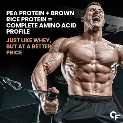 Carbamide Forte Plant Protein Powder - Plant Based Protein Powder with Multivitamin, Minerals, Superfoods, Pea Protein Powder, Digestive Enzymes | 5 Flavors Plant Protein Powder For Men - Pack Of 20