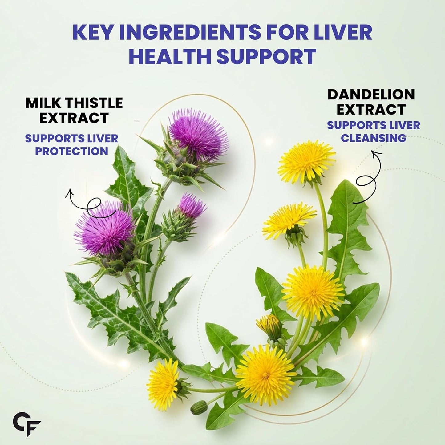 Milk Thistle Tablets with NAC, Dandelion & Vitamin C - 60 Tablets