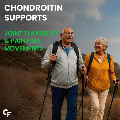 Glucosamine Chondroitin MSM 3900 mg | Joint Support | 90 Tablets