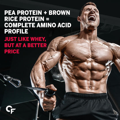 Carbamide Forte Vegan Protein Powder - Plant Based Pea Protein Powder with Multivitamin, Minerals, Superfoods, Digestive Enzymes - Watermelon Flavour - 500 Grams, 1 Scoop