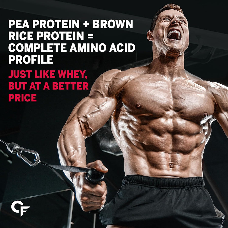Carbamide Forte Vegan Protein Powder - Plant Based Pea Protein Powder with Multivitamin, Minerals, Superfoods, Digestive Enzymes - Watermelon Flavour - 500 Grams, 1 Scoop