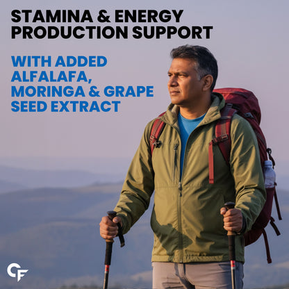 Multivitamin for Men – 67 Ingredients for Energy & Immunity