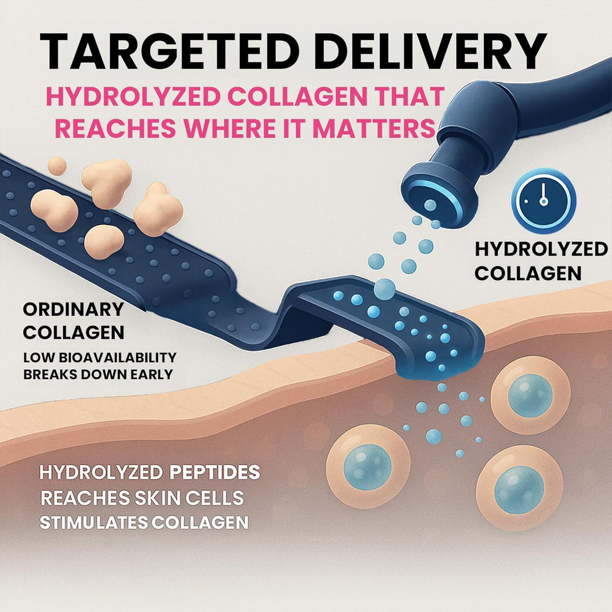 Hydrolyzed Collagen Peptides for Daily Hair, Skin & Joint Support