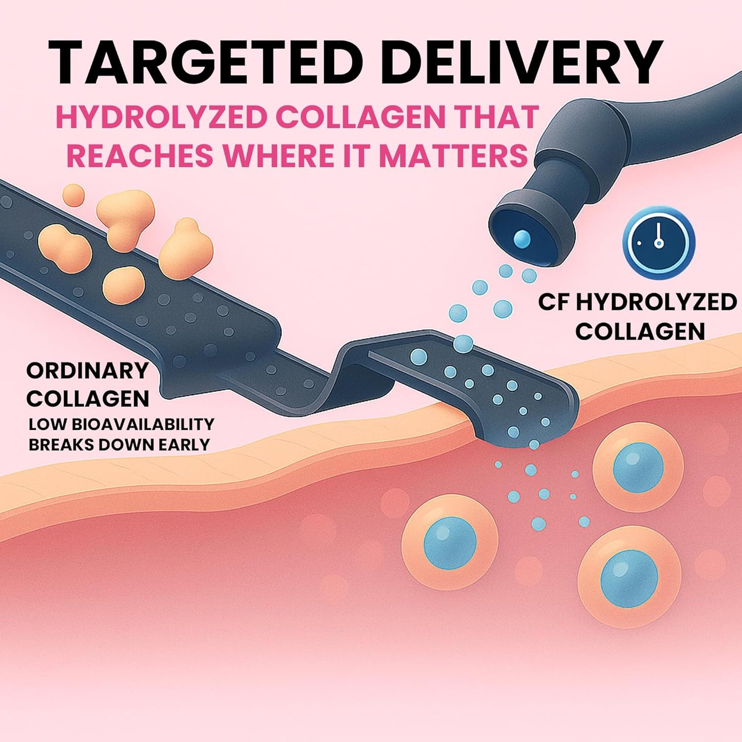 Multi Collagen Tablets with 5 Types of Collagen