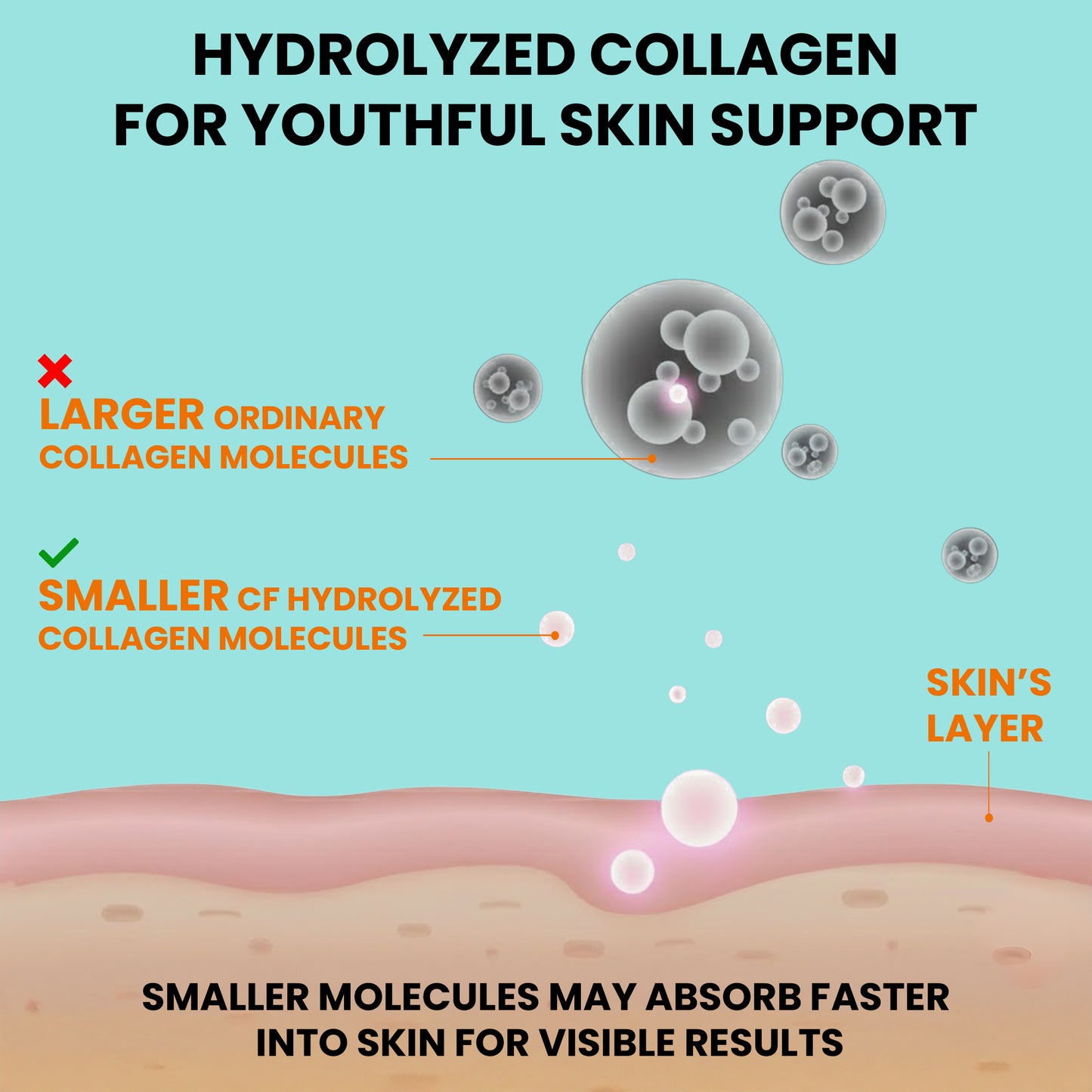 Marine Collagen Powder – Type 1 Hydrolyzed Peptides for Skin & Hair