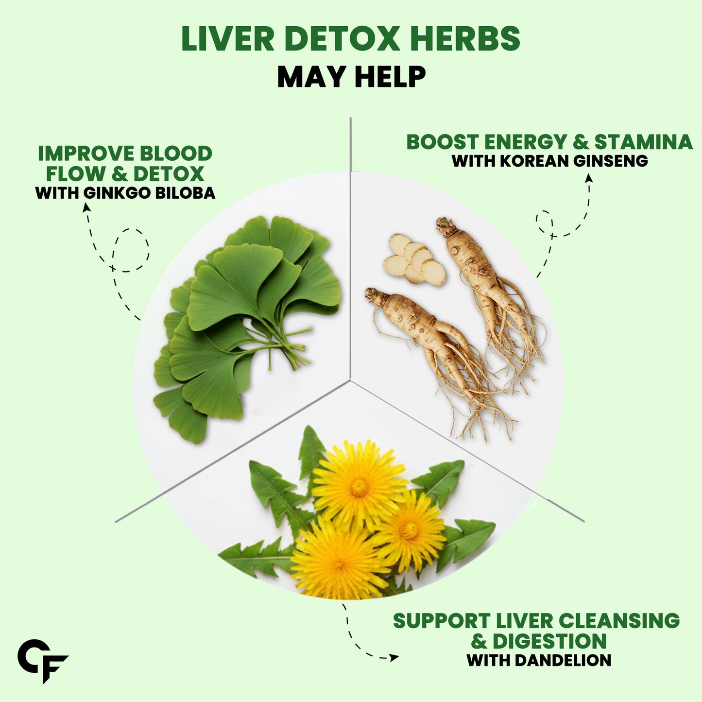 Liver Detox Effervescent Tablets for Daily Liver Health Support 60 Tablets