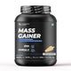 Mass Gainer – 54g Protein + 250g Carbs for Muscle Growth