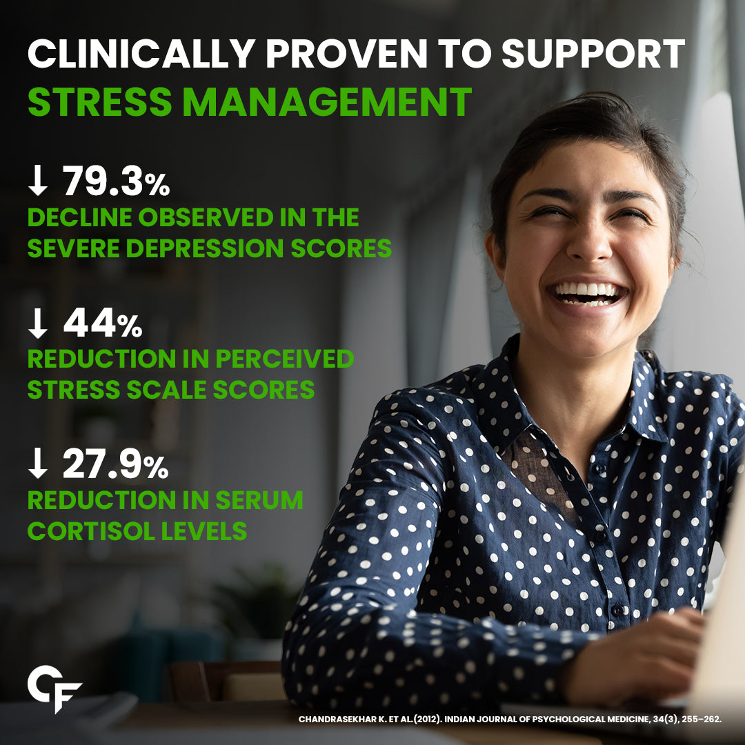 Ashwagandha – KSM66 600 mg (60 Tablets)