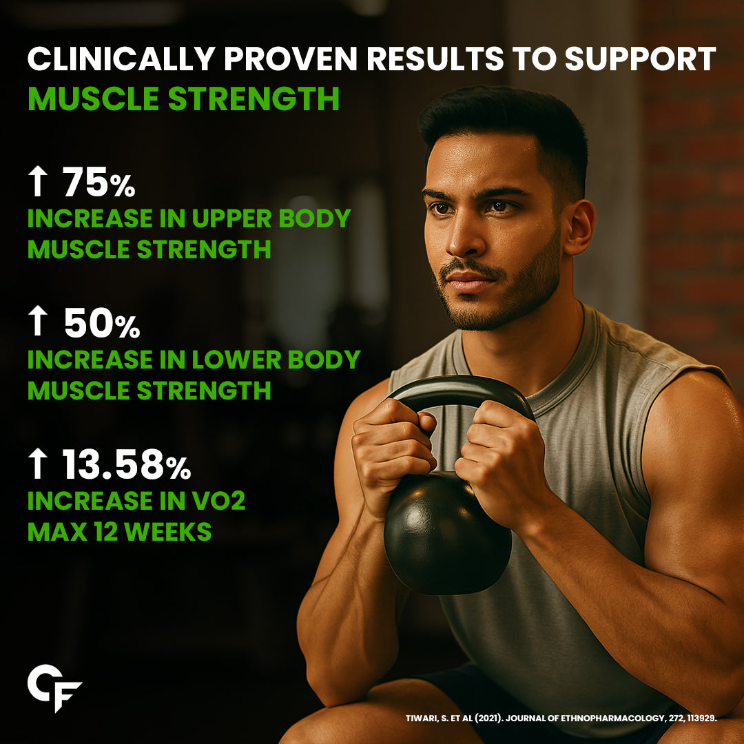 Ashwagandha – KSM66 600 mg (60 Tablets)