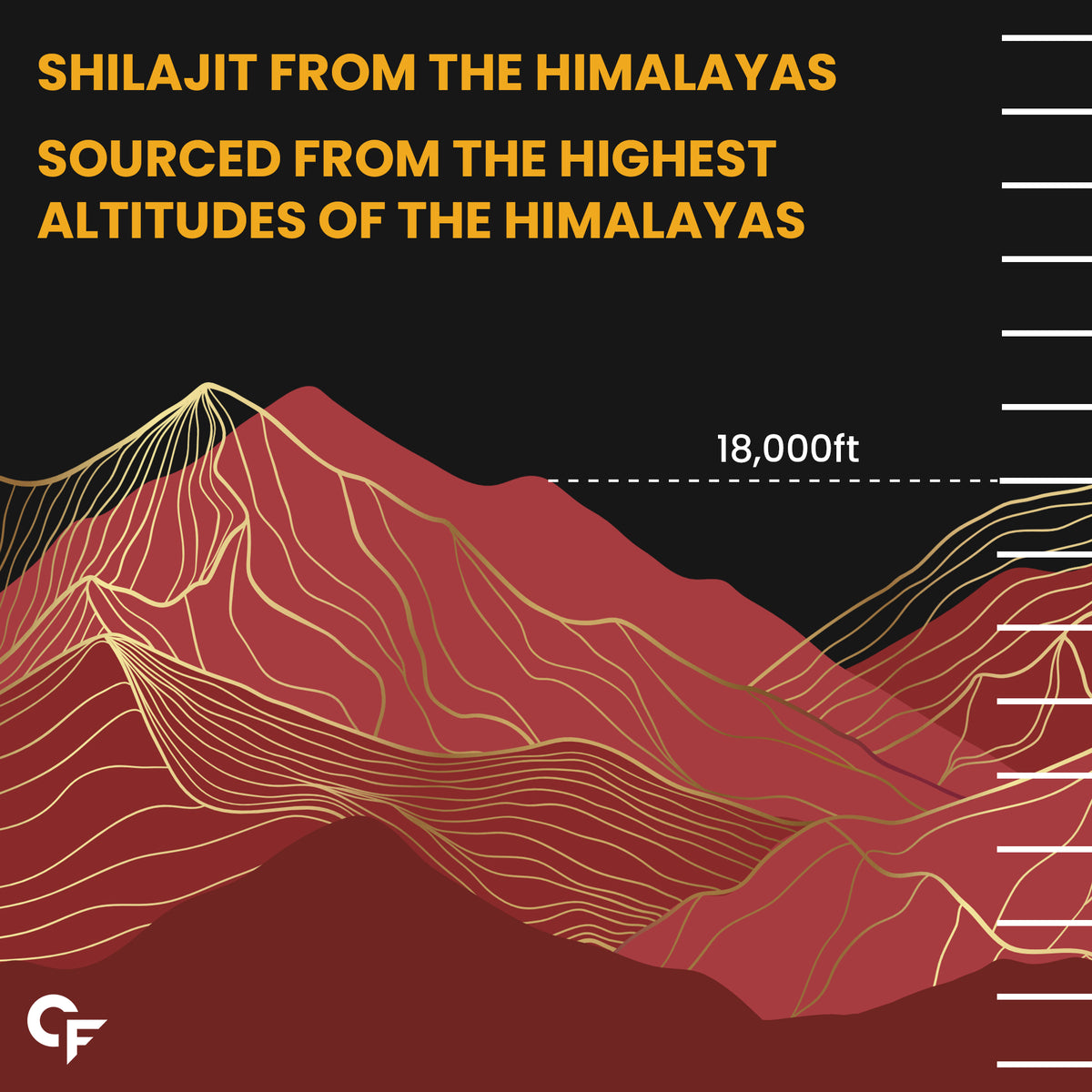 Himalayan Shilajit Capsules for Women - 60 Capsules - Carbamide Forte