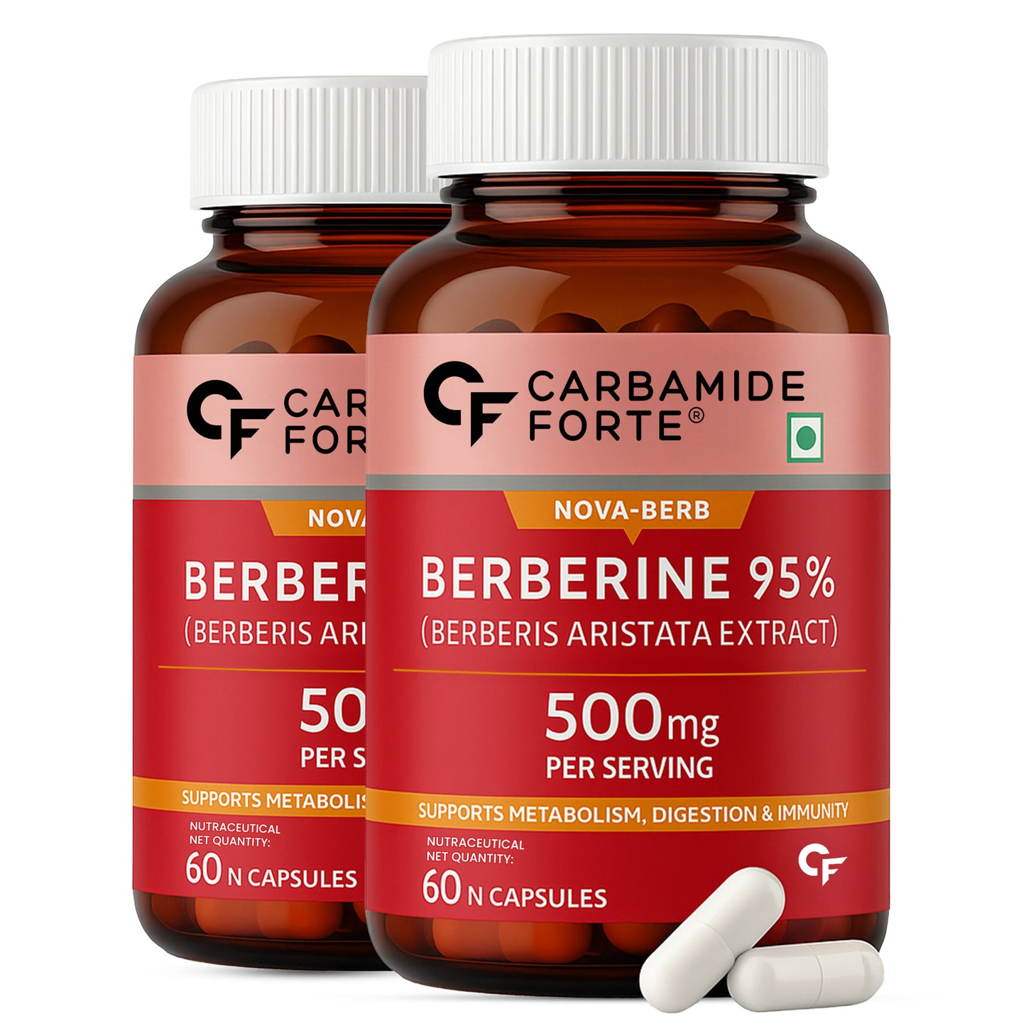 95% Berberine 500 mg with Milk Thistle & Cinnamon | 60 Capsules