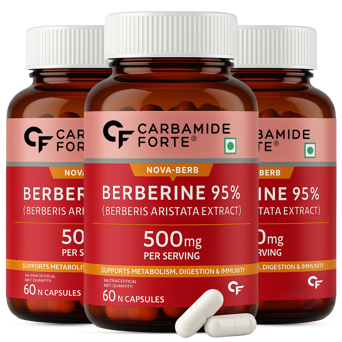 95% Berberine 500 mg with Milk Thistle & Cinnamon | 60 Capsules