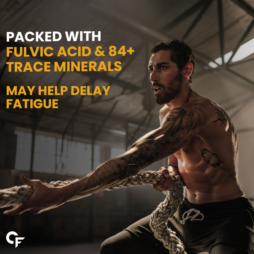 Carbamide Forte Shilajit Gold Capsules For Men | Himalayan Shilajit For Men | Shilajeet Gold Original | Shilajeet Capsule | 60 Shilajit Capsules