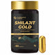 Carbamide Forte Shilajit Gold Capsules For Men | Himalayan Shilajit For Men | Shilajeet Gold Original | Shilajeet Capsule | 60 Shilajit Capsules