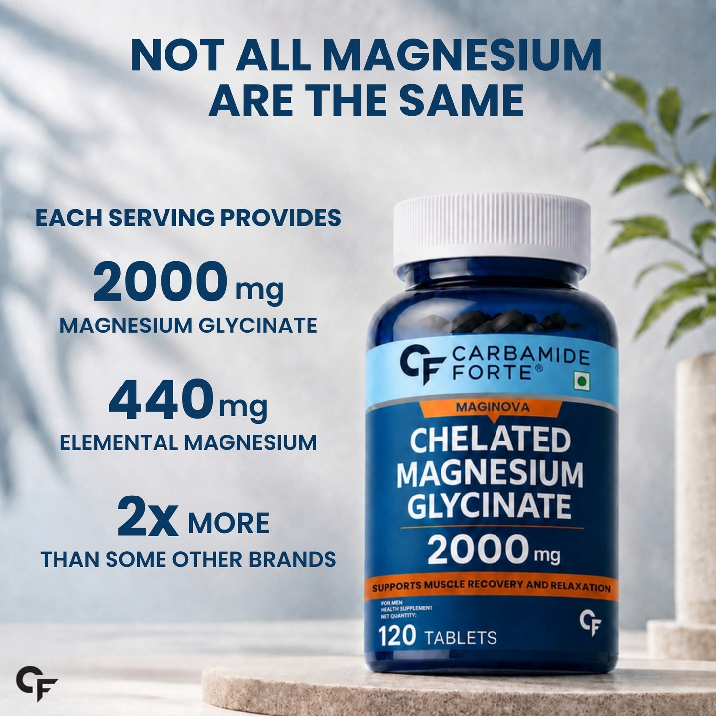 Chelated Magnesium Glycinate 2000 mg - 120 Tablets