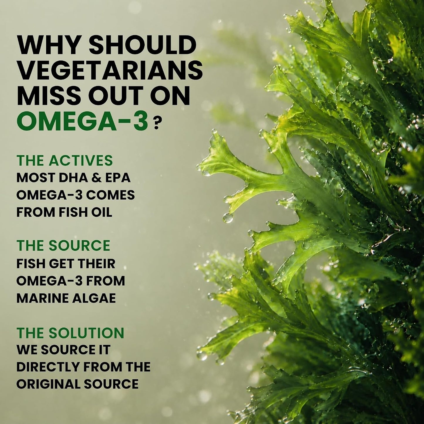 Veg Omega‑3 1000 mg with Algal DHA (Plant‑Based) | 60 Liquid Filled Capsules