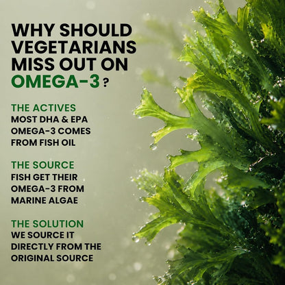 Veg Omega‑3 1000 mg with Algal DHA (Plant‑Based) | 60 Liquid Filled Capsules