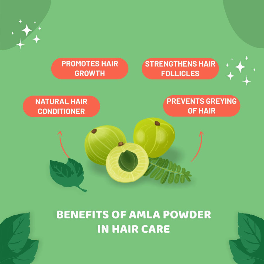 Carbamide Forte Amla Powder for Hair Growth & Skin Radiance for Men & Women | 100% Natural Indian Gooseberry powder, Free from Preservatives & Chemicals - 250g