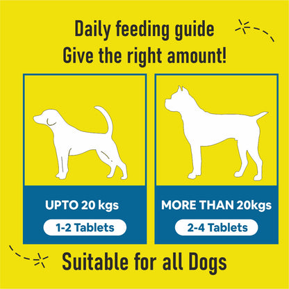 CF Pets Chewable Multivitamin Tablets for Dogs with 23 Essential Vitamins & Minerals for Healthy Skin, Heart, Brain, Digestive System & Joint Function | Chicken Flavour - 120 Tablets