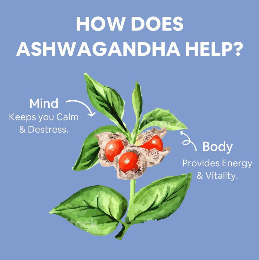 CF 100% Organic Ashwagandha Powder - Withania Somnifera - USDA Certified Organic Ashwagandha for Vitality, Strength & Stress Management - 100g Veg Powder