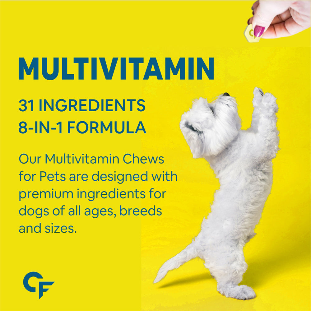 CF Pets Chewable Multivitamin Tablets for Dogs with 23 Essential Vitamins & Minerals for Healthy Skin, Heart, Brain, Digestive System & Joint Function | Chicken Flavour - 120 Tablets